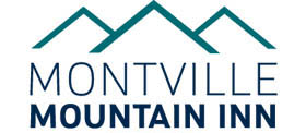 Montville Accommodation - Montville Mountain Inn Resort, Montville QLD