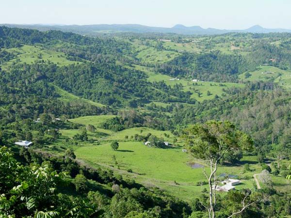 Aerial Rural View, Montville, QLD