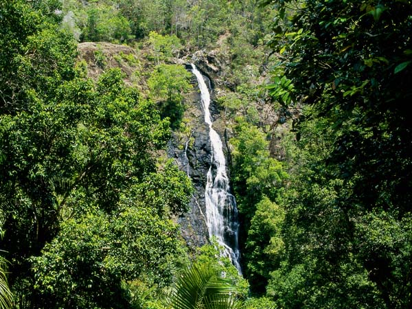 Kondalilla Falls