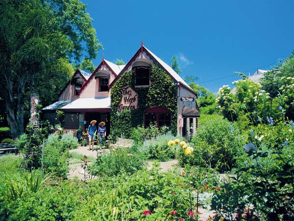 The Herb Garden