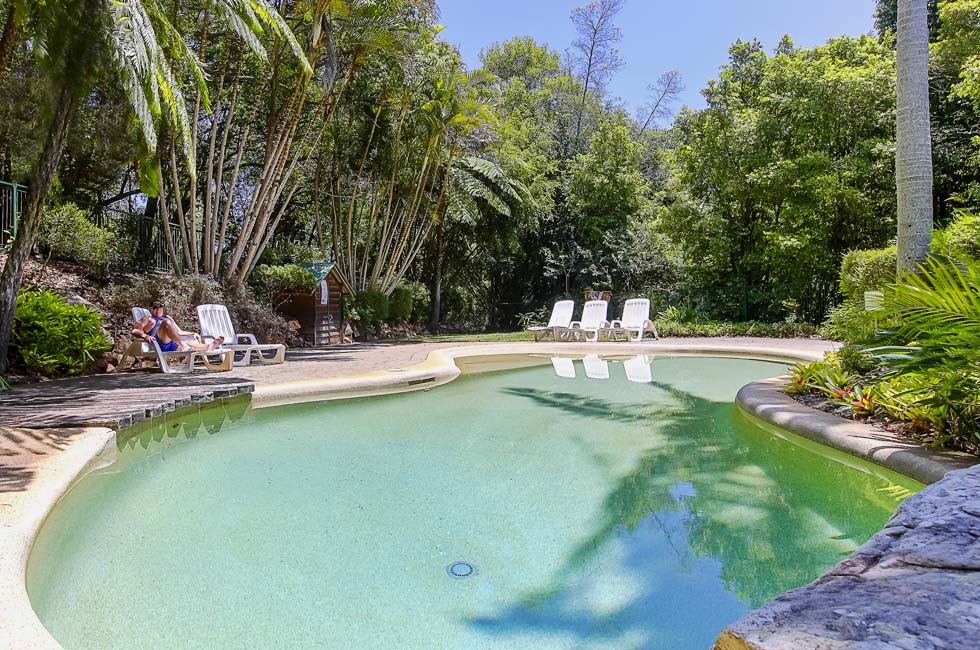 Relax by the pool at Montville Mountain Inn - Montville, QLD