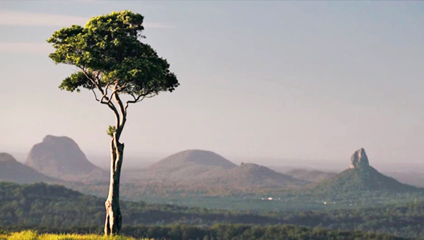 Montville Mountain Inn - Glass House Mountains